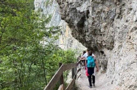 Sommerprogramm für Kinder und Jugendliche des Rehazentrums Wiesing