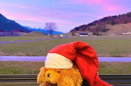 Optiwuff bestaunt den rosaroten Morgenhimmel in Wiesing