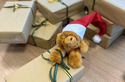 Optiwuff hilft beim Geschenke verpacken in Wiesing