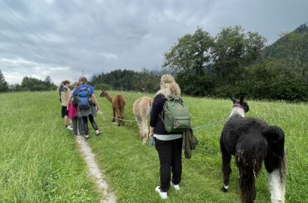 OptimaMed Wiesing: Sommerausflug mit tierischer Begleitung